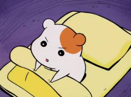 다들 짤 좀 뿌리고 가줘 | 인스티즈