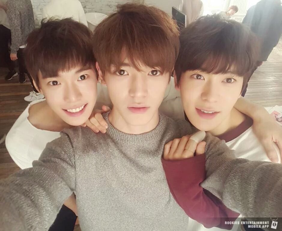 ㄱ 나 이 셋 조합 좋아해 | 인스티즈