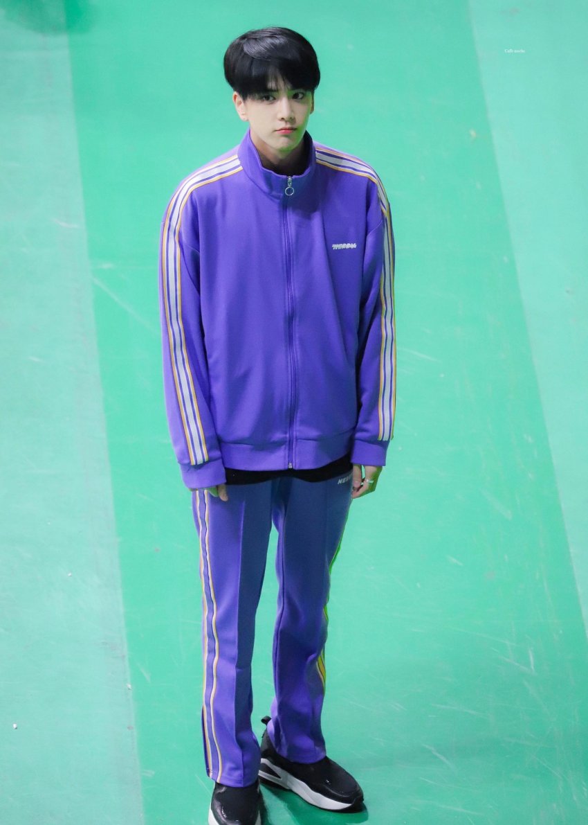 울 말티쥬 보고싶어ㅠㅠㅠ | 인스티즈