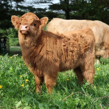 온앤오프들아 우리 재영이 진짜 잘생기지 않았냐 | 인스티즈