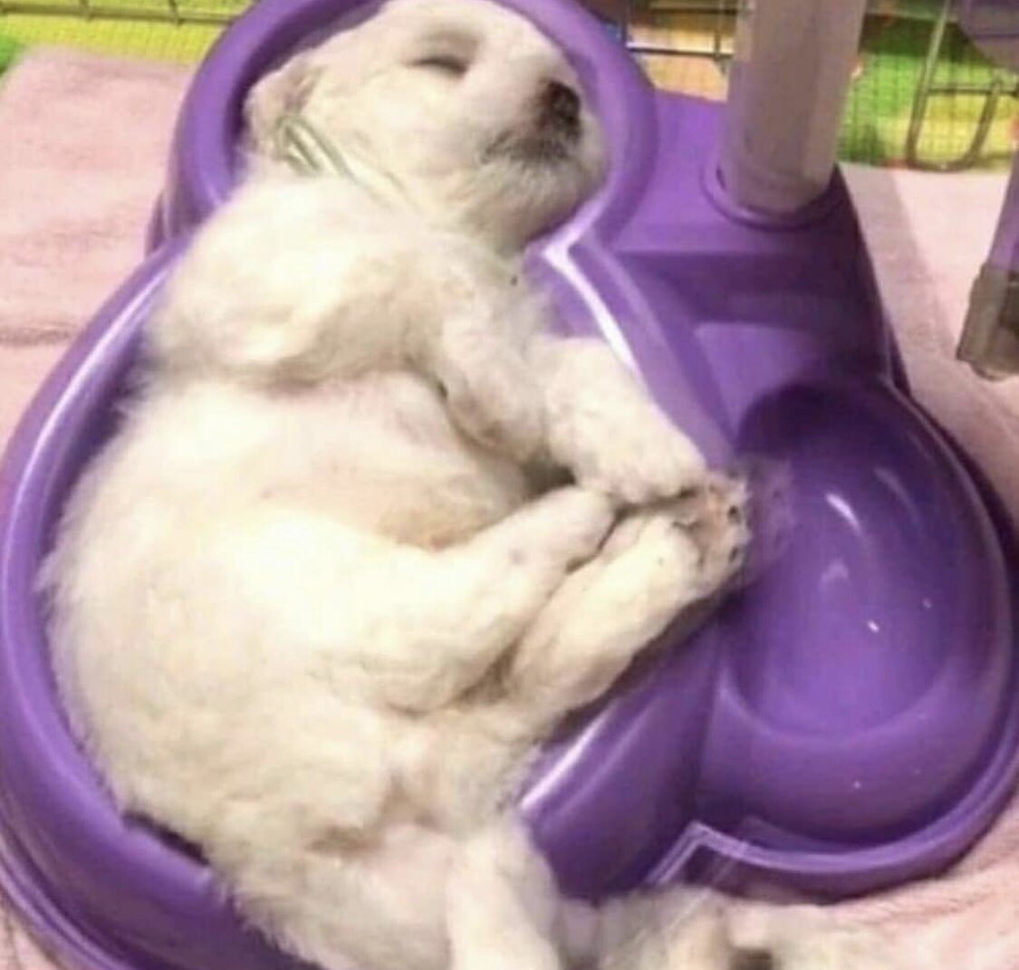 정국 진짜 졸렸나바 | 인스티즈