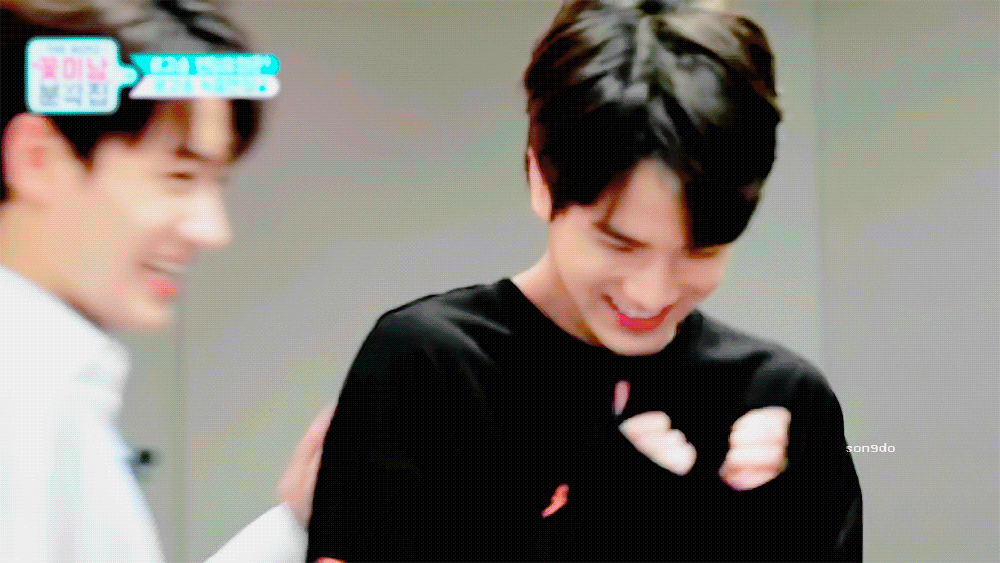 울 말티쥬 보고싶어ㅠㅠㅠ | 인스티즈