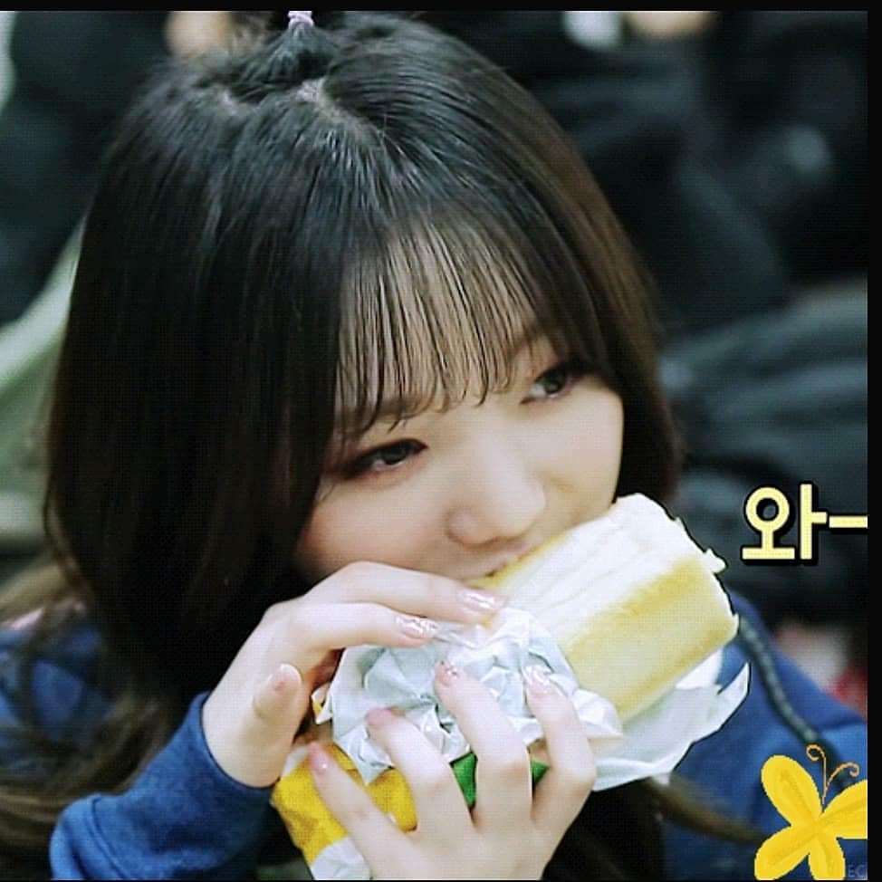 러블리즈 케이 햄토리 닮아써...... | 인스티즈