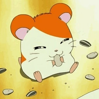 러블리즈 케이 햄토리 닮아써...... | 인스티즈