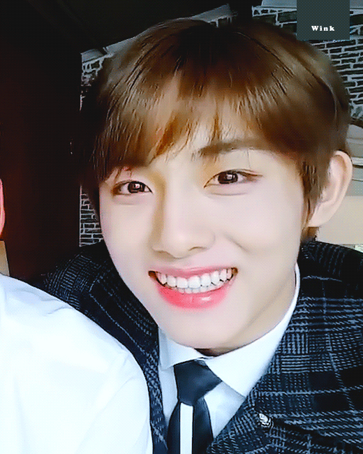 나의 남돌 최애 여돌 최애 | 인스티즈