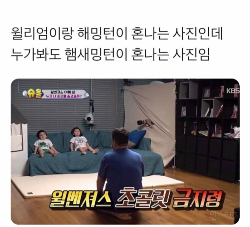 윌리엄이랑 해밍턴이 혼나는 사진 | 인스티즈