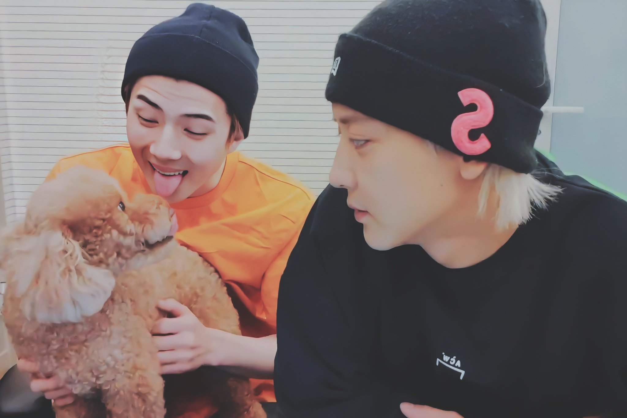 찬열? 강아지 두 마리 키운다며..? | 인스티즈