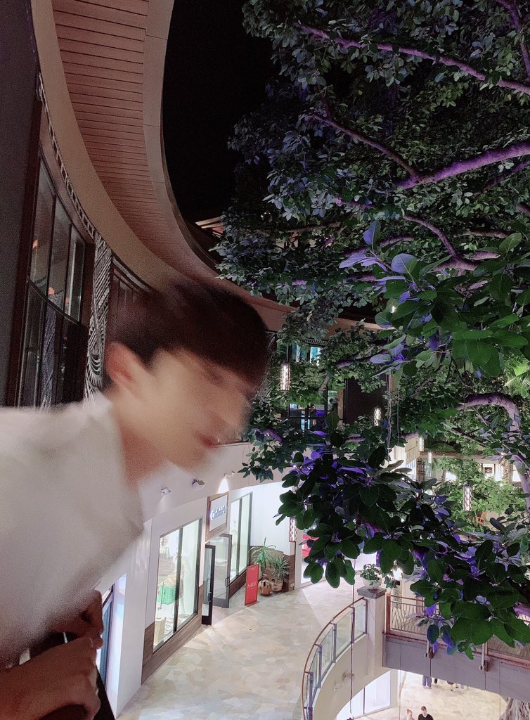 선예인 호록 | 인스티즈