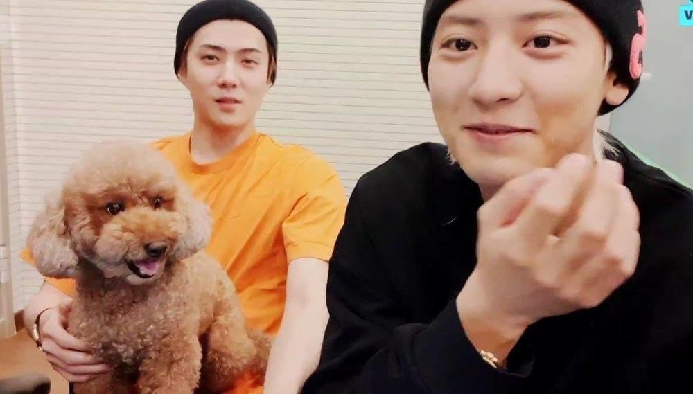 세훈 이건 좀 문제있는거 아녀..? | 인스티즈