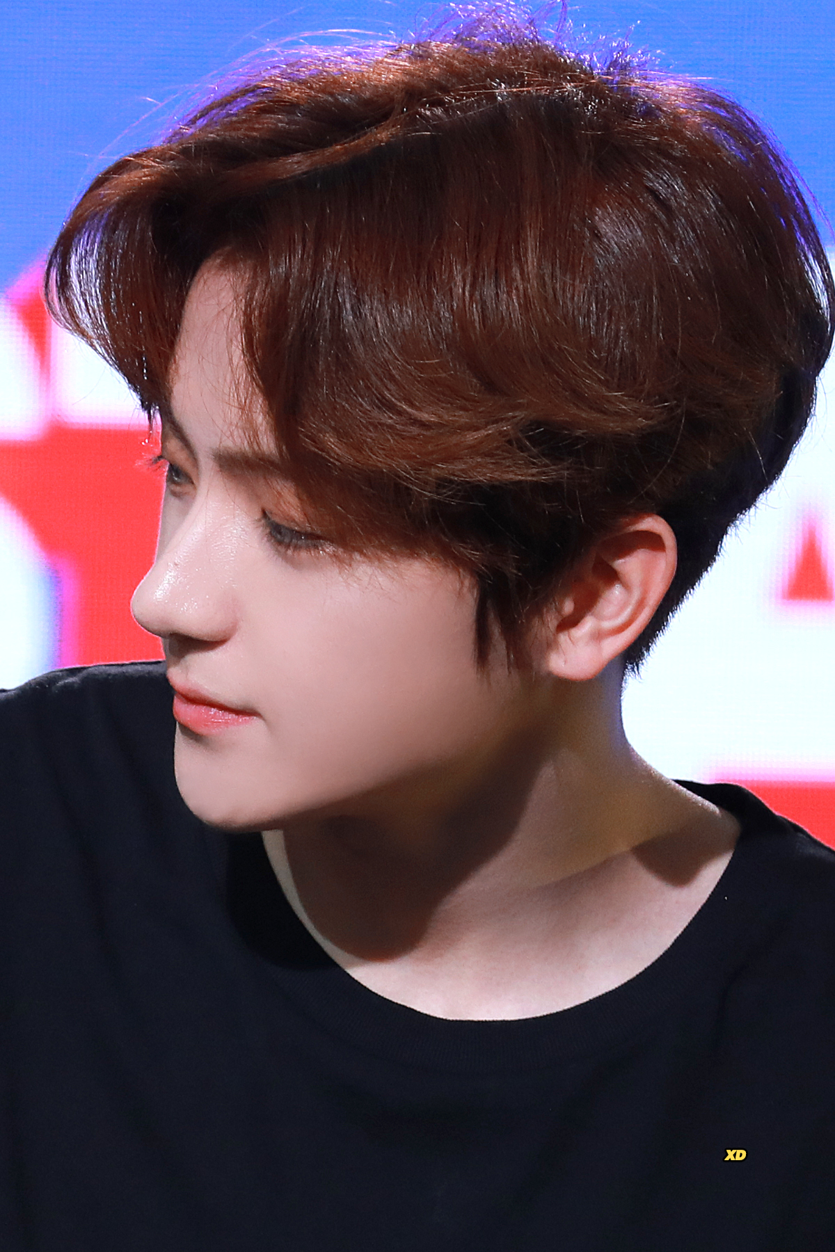 내 최애 얼굴에 자부심 있어서 눈 감고 사진 골라봄 | 인스티즈