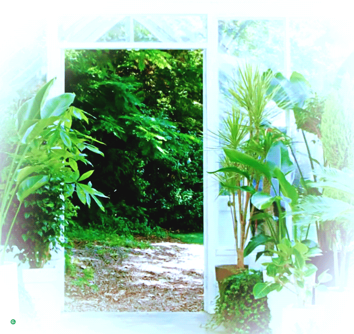 조승연 까꿍 | 인스티즈