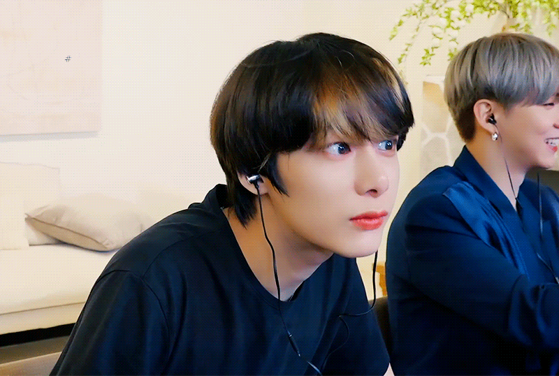 개구리 거북이에서 강아지로 | 인스티즈