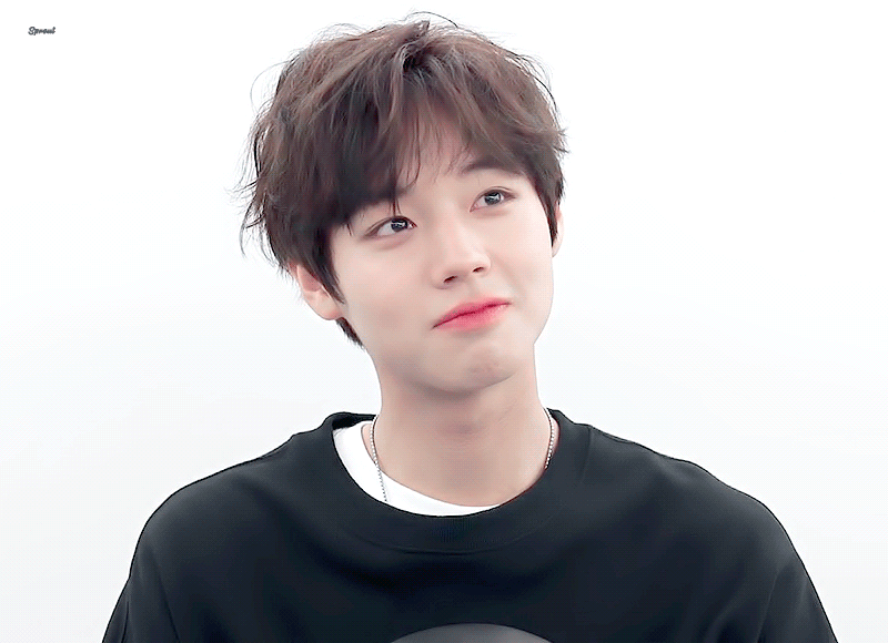 내 최애들? 내가 좋아하는 얼굴들? 공통점 하나도 없음🤔 | 인스티즈