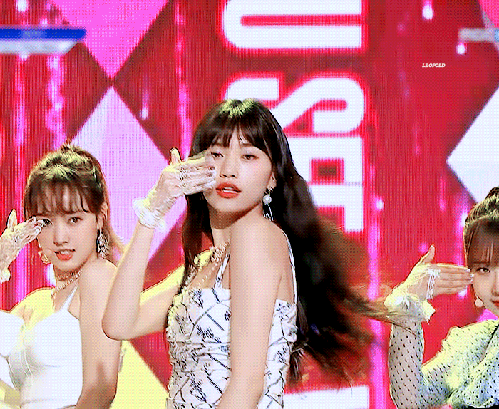 내 최애 여돌 남돌.....은 소나무인가 | 인스티즈