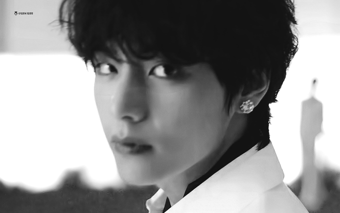 내 최애 여돌 남돌.....은 소나무인가 | 인스티즈