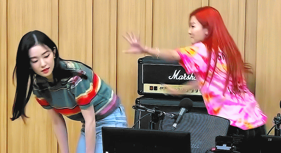 아이린이 슬기한테 똥강아지라고 부르는게 이해되는 짤 | 인스티즈