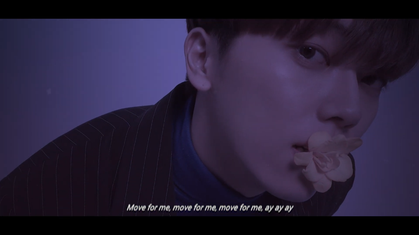 고양이 ㄷㅌ | 인스티즈