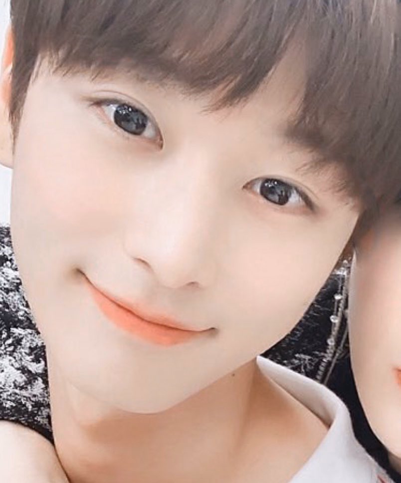 더비 선생님들 급해요 이 사진 좀 찾아주시요 ㅠㅠ!!!! | 인스티즈