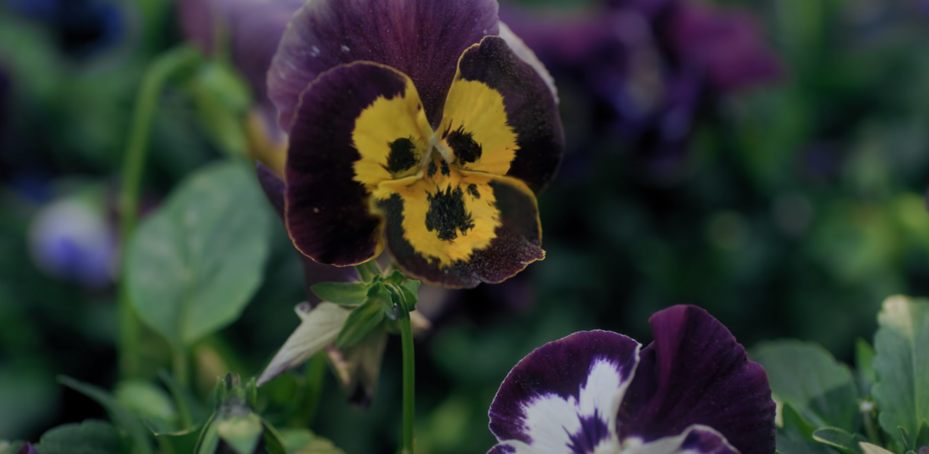 세계관 이해를 위해 TXT 가사를 분석해보았다 (사진 많음, 글 많음 | 인스티즈