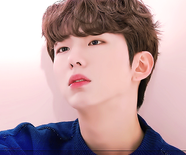 소나무인지는 모르겠는데 | 인스티즈