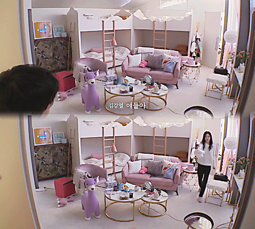 아니 이거봐바 강지 걍 하우스 내에서부터 연인 재질이라니깤ㅋㅋㅋㅋㅋㅋㅋㅋㅋㅋㅋㅋ - 인스티즈(instiz) 익명예잡 아니 이거봐바 강지 걍... 
