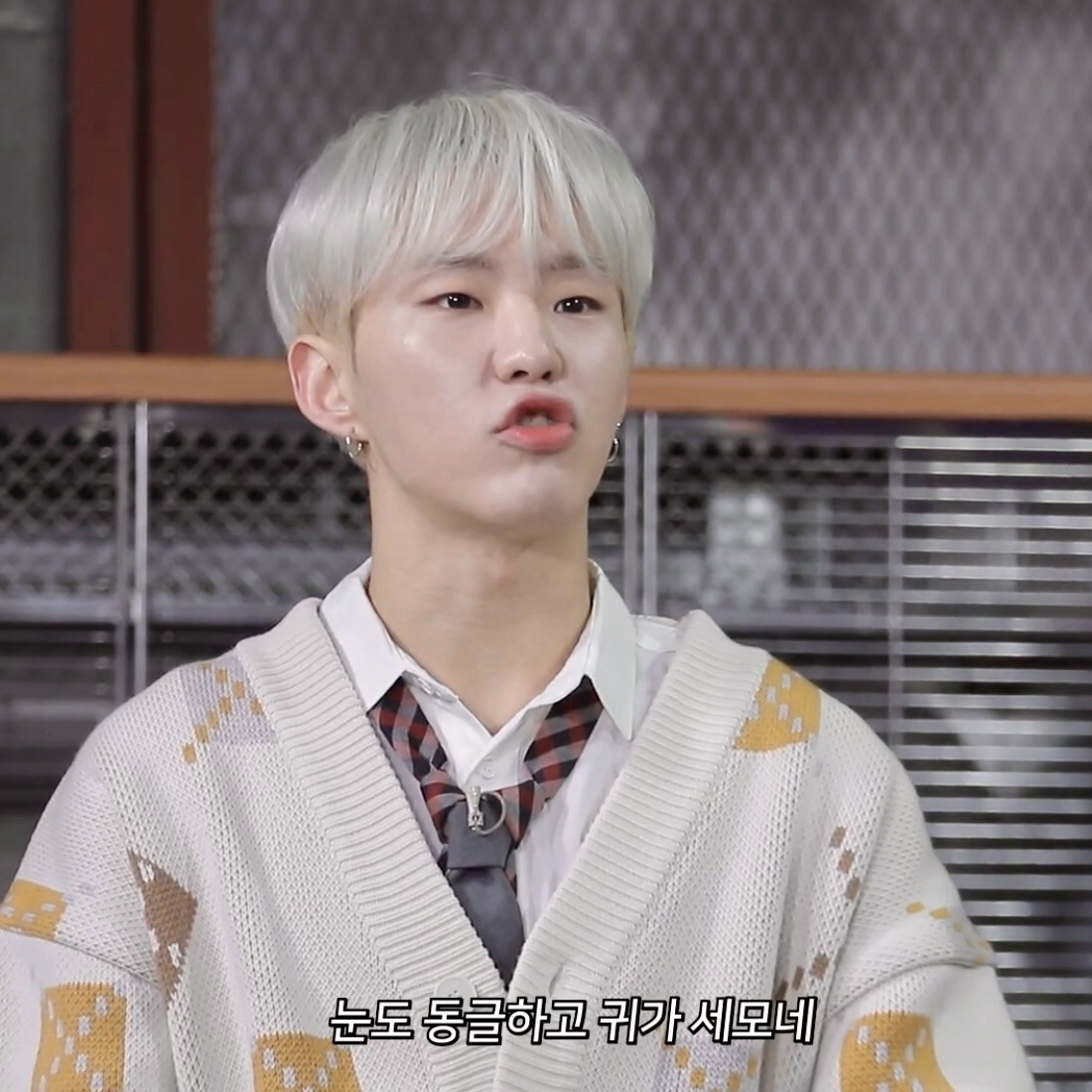 세븐틴이 그린 고양이 좀 보셈 | 인스티즈