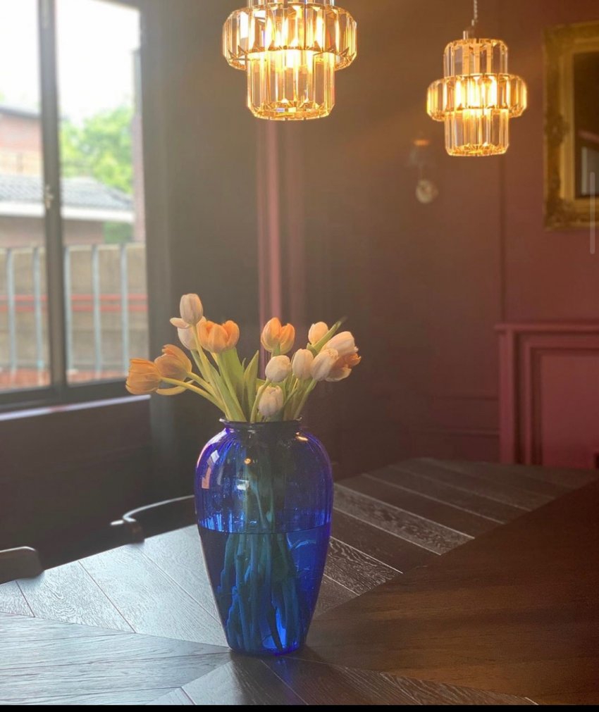 핱시3 임한결 진짜 사랑꾼이다 방송 끝나고 카페에 있던 꽃들 다 튤립으로 바꿈 ㅋㅋㅋㅋㅋㅋㅋ | 인스티즈