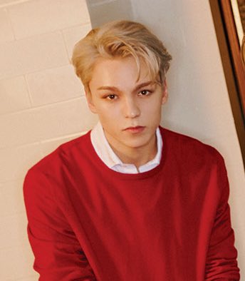 예전에 ~소속사상 이런 거 유행 할 때 누가 세븐틴 버논은 어디냐고 했는데 | 인스티즈