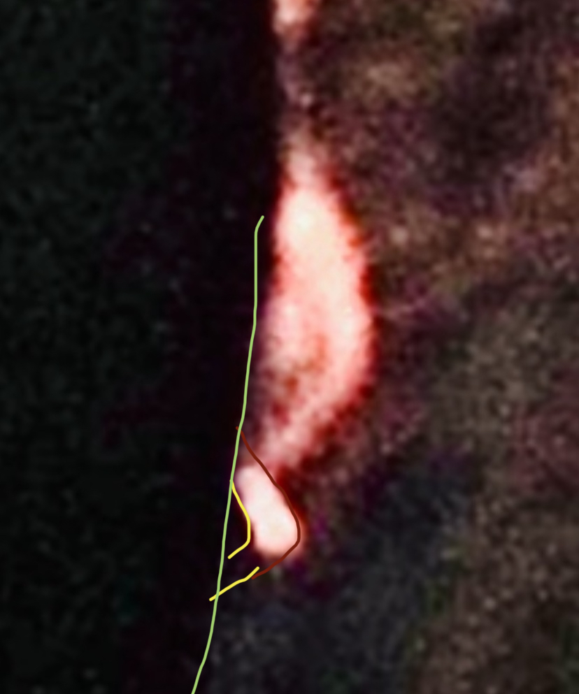 근데 이 그림만 보면 폰으로 보이기도 하는데 그렇다고 하기엔 들고 있는 손이 ㄹㅇ신기한 수준 | 인스티즈