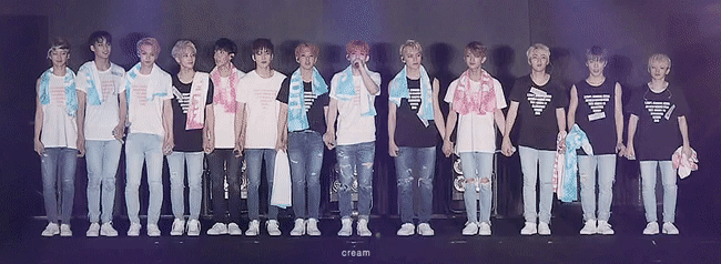 [잡담] 세븐틴 증말 사랑한다 | 인스티즈