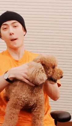 강아지 갖고 노는 오세훈ㅋㅋㅋㅋㅋㅋㅋㅋㅋ | 인스티즈