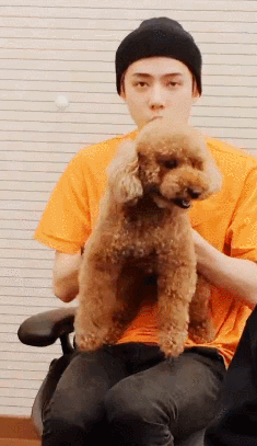 강아지 갖고 노는 오세훈ㅋㅋㅋㅋㅋㅋㅋㅋㅋ | 인스티즈