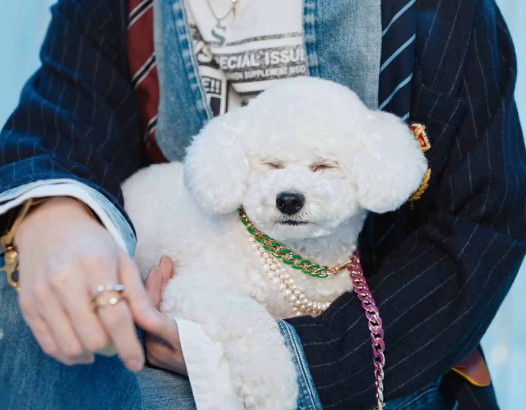 슈스 비비 다른 짤🤍 | 인스티즈