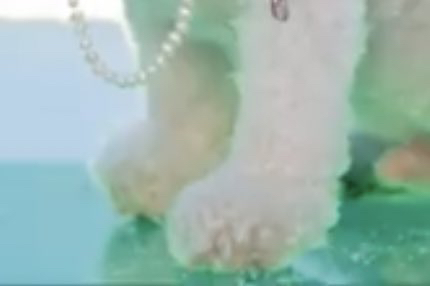 아니 오비비 발 좀 보세요................. | 인스티즈