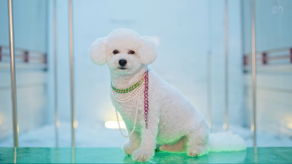 엑소 세훈 솔로곡 뮤비에 비비 나온거 봨ㅋㅋㅋㅋㅋㅋㅋㅋㅋㅋㅋㅋㅋㅋㅋㅋㅋ | 인스티즈