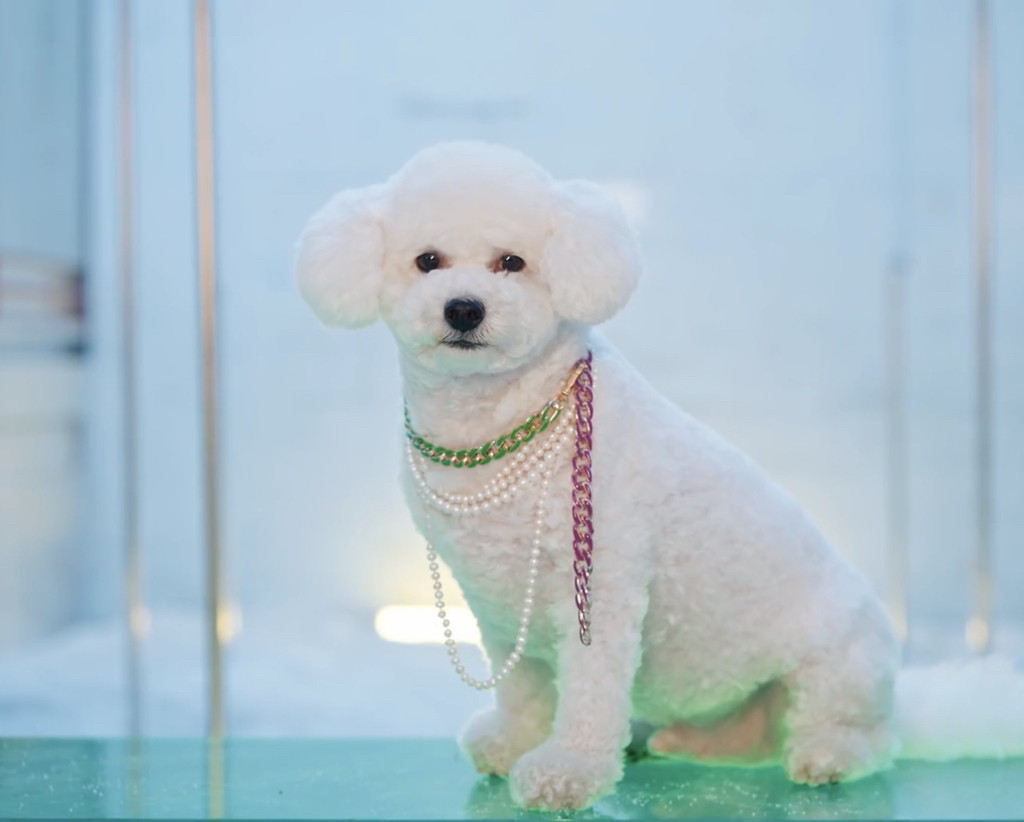 뮤비나온다고 한껏 치장한 비비 | 인스티즈