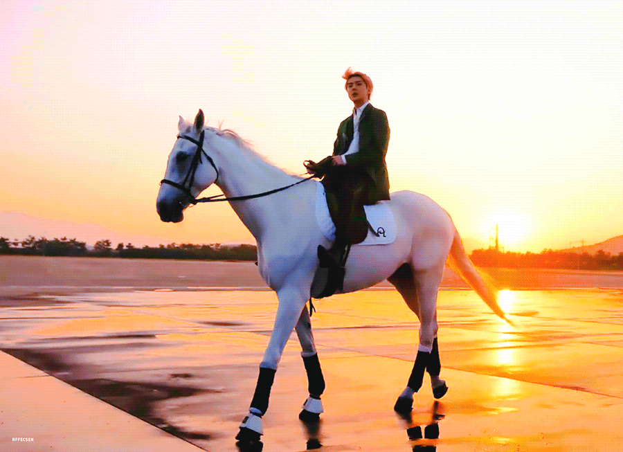 난 사실 세훈이 뭘 찍은건지 모르겠어ㅋㅋㅋ | 인스티즈