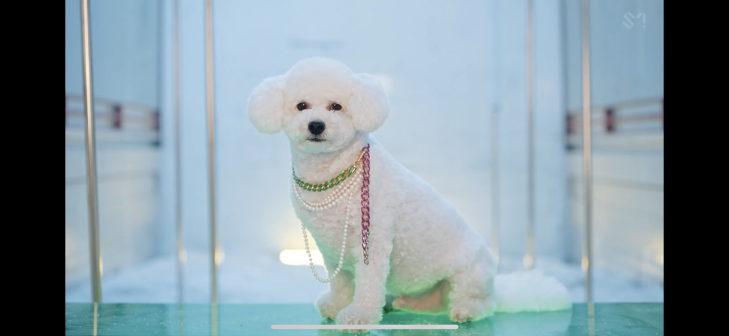 세훈 솔로 뮤비 떴는데 | 인스티즈