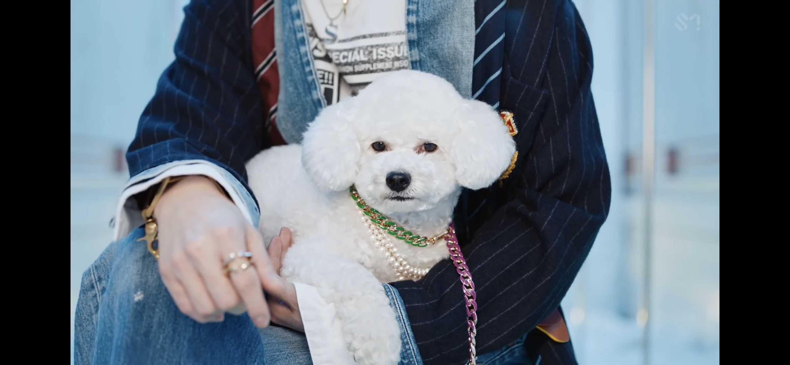 아니 ㅋㅋㅋㅋ 오세훈 ㅋㅋㅋㅋㅋ 저 분위기에 갑분비비 | 인스티즈