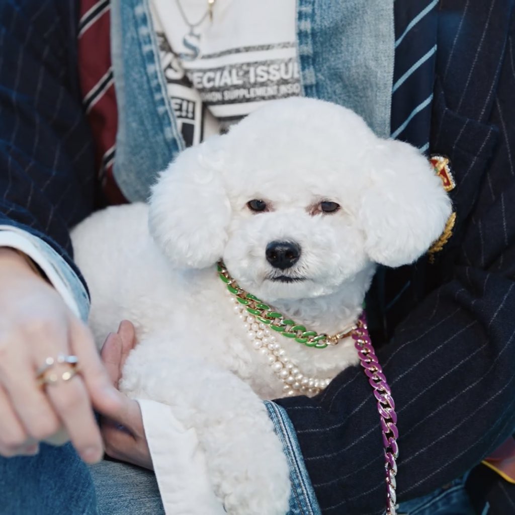 비비로 보는 다이어트의 중요성 | 인스티즈