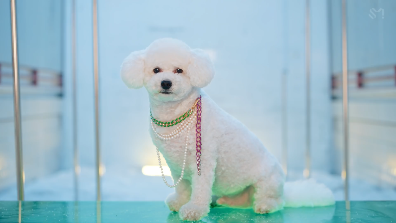 ❤큰방사람들 비비주인 7/13 10억뷰로 컴백해요❤ | 인스티즈