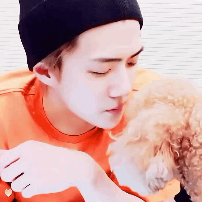 오세훈 보고 싶다 | 인스티즈