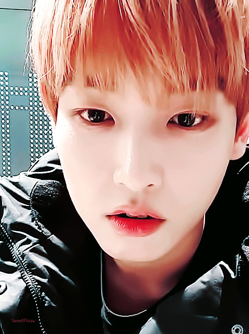 완전 기야운 아기가오리ㅠㅠㅠㅠㅠㅠㅠㅠㅠㅠㅠㅠ | 인스티즈