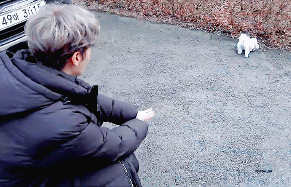 더보이즈 + 모리 = 필승조합 | 인스티즈