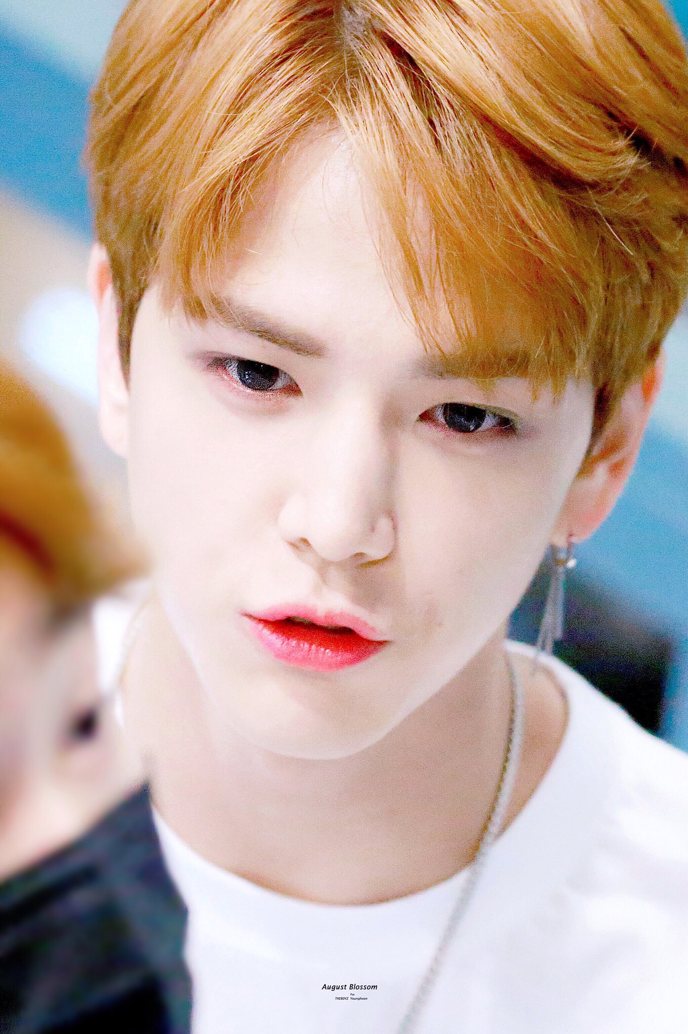 울 말티쥬 보고싶어ㅠㅠㅠ | 인스티즈