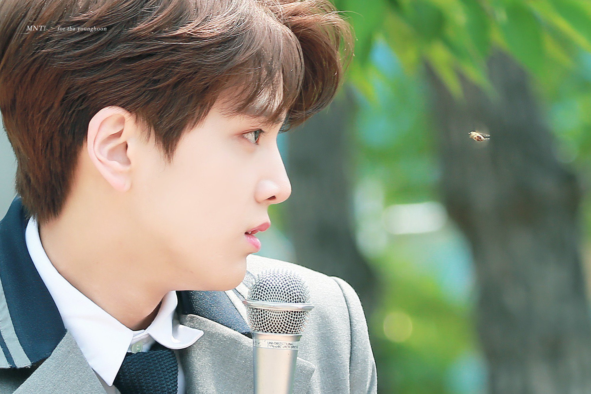 울 말티쥬 보고싶어ㅠㅠㅠ | 인스티즈