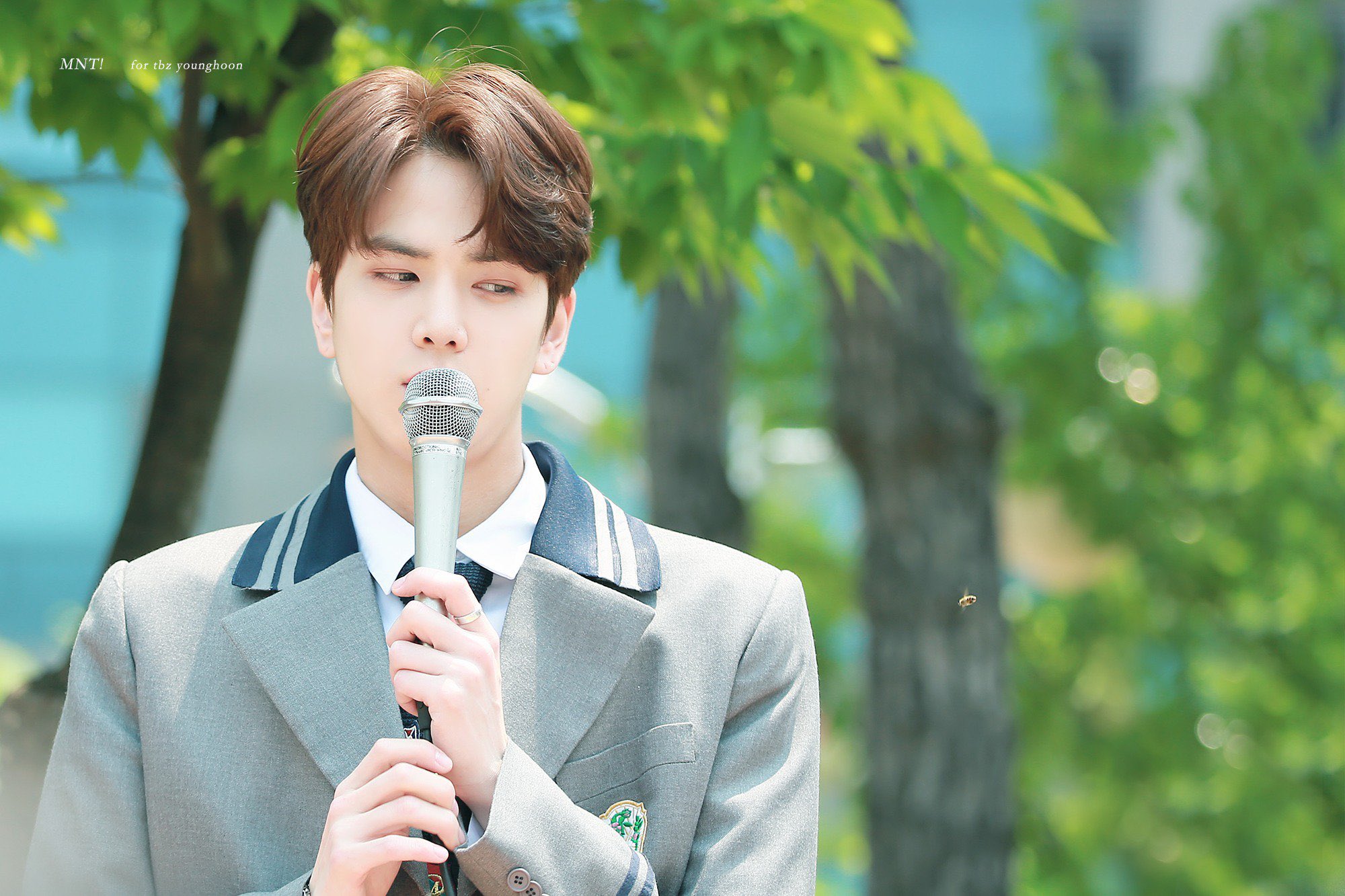 울 말티쥬 보고싶어ㅠㅠㅠ | 인스티즈