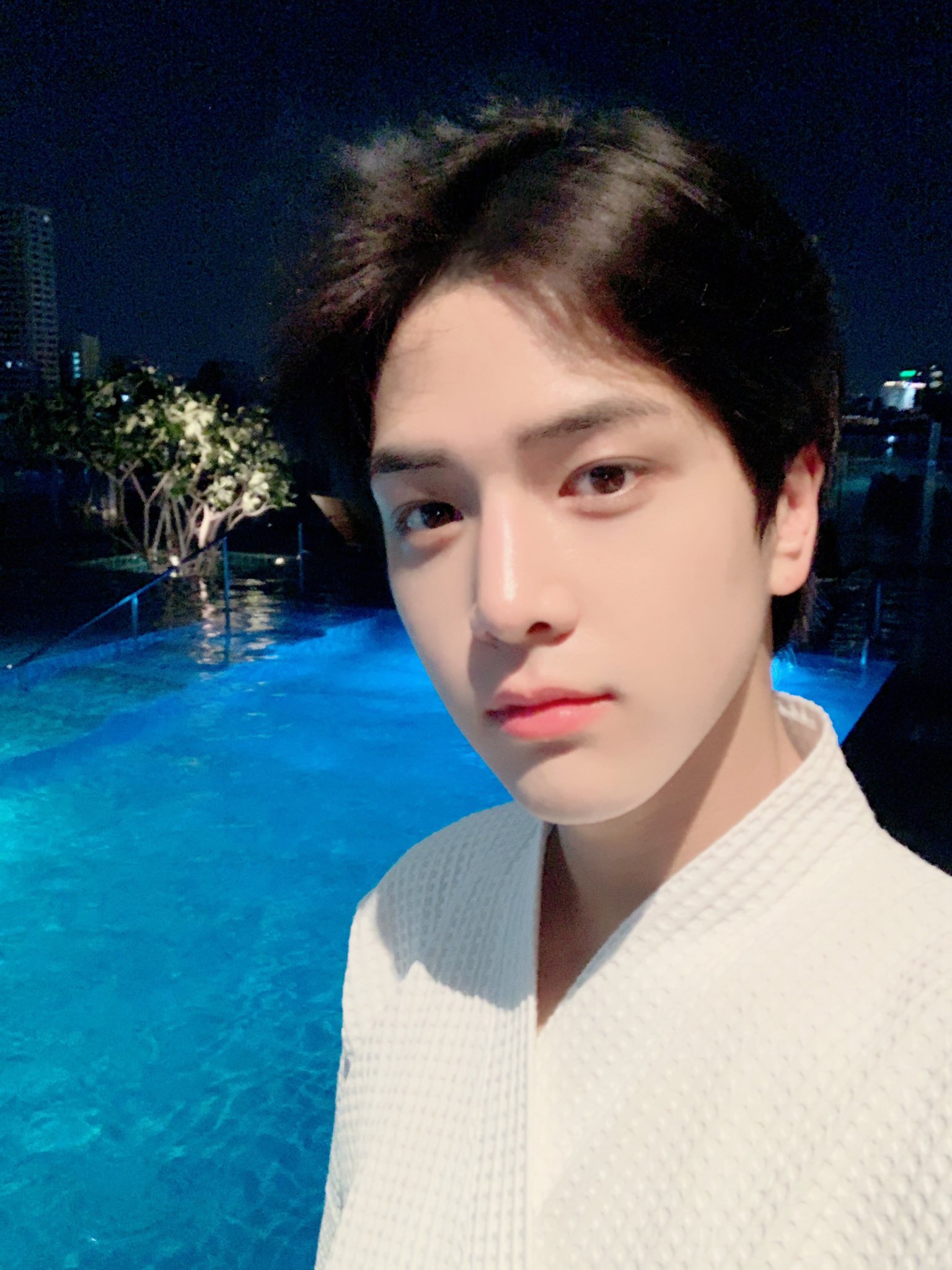 울 말티쥬 보고싶어ㅠㅠㅠ | 인스티즈