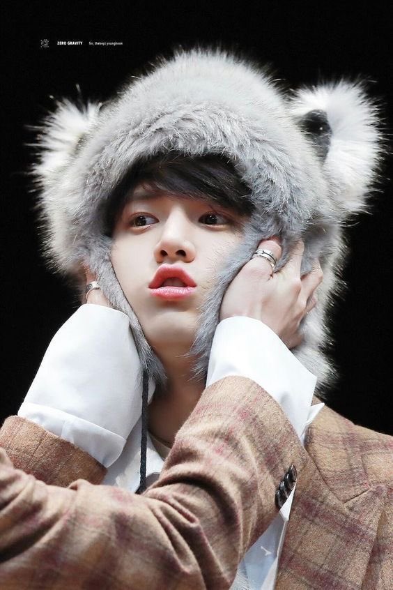 울 말티쥬 보고싶어ㅠㅠㅠ | 인스티즈