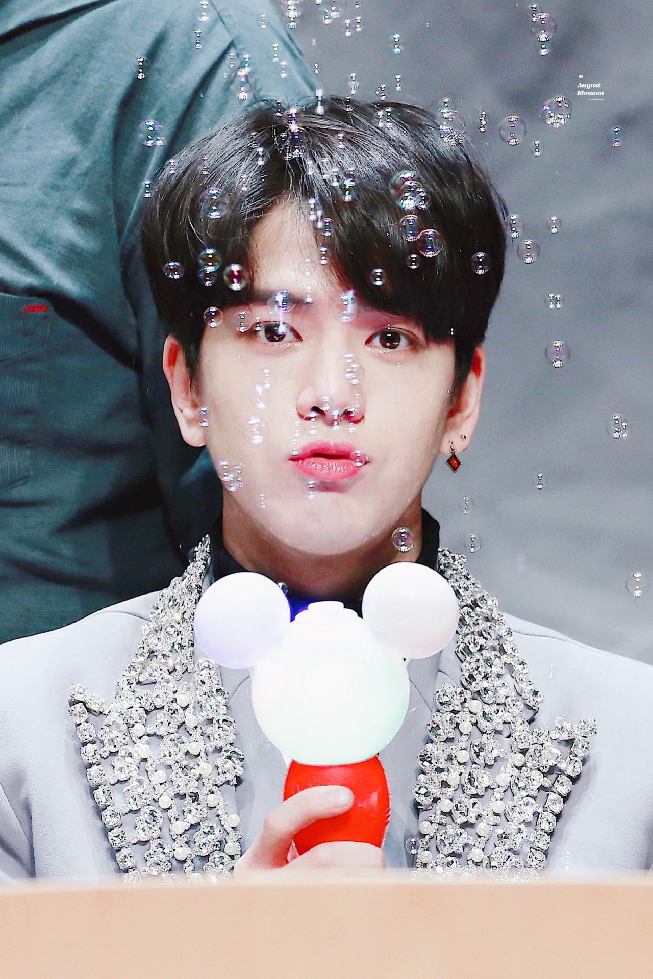 울 말티쥬 보고싶어ㅠㅠㅠ | 인스티즈